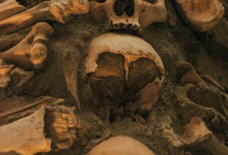 Catacombs - Skulls and Bones