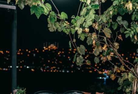 Public Gardens - Street cafe among green trees under bright illumination of lamp